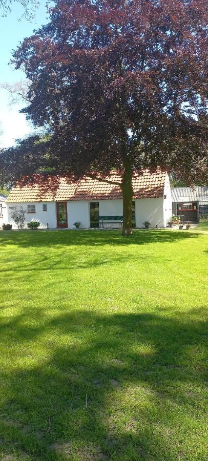 Vakantiewoning 'T Bakhuus Bergentheim المظهر الخارجي الصورة